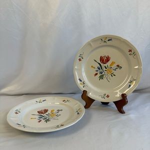 French Country Kitchen Anne Marie Dinner Plates Stoneware Set of 2